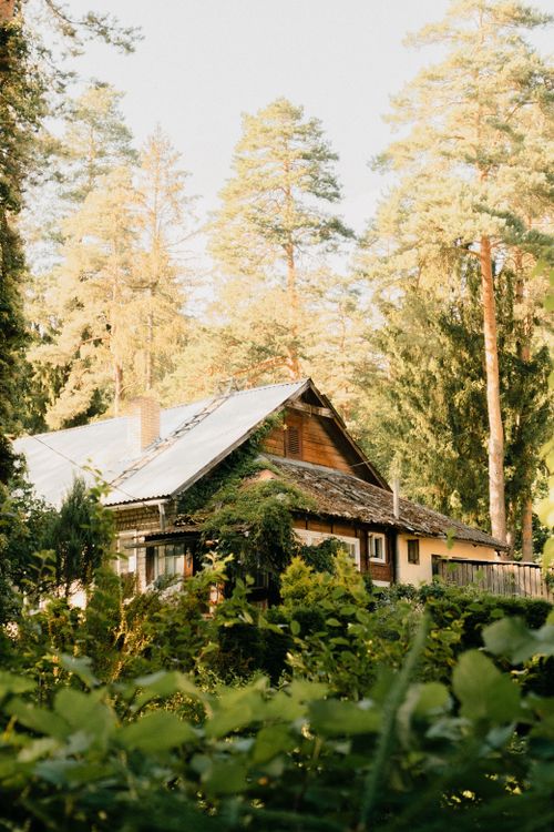 Free Rustic wooden cabin surrounded by lush forest trees during the daytime, perfect for nature escapes. Stock Photo
