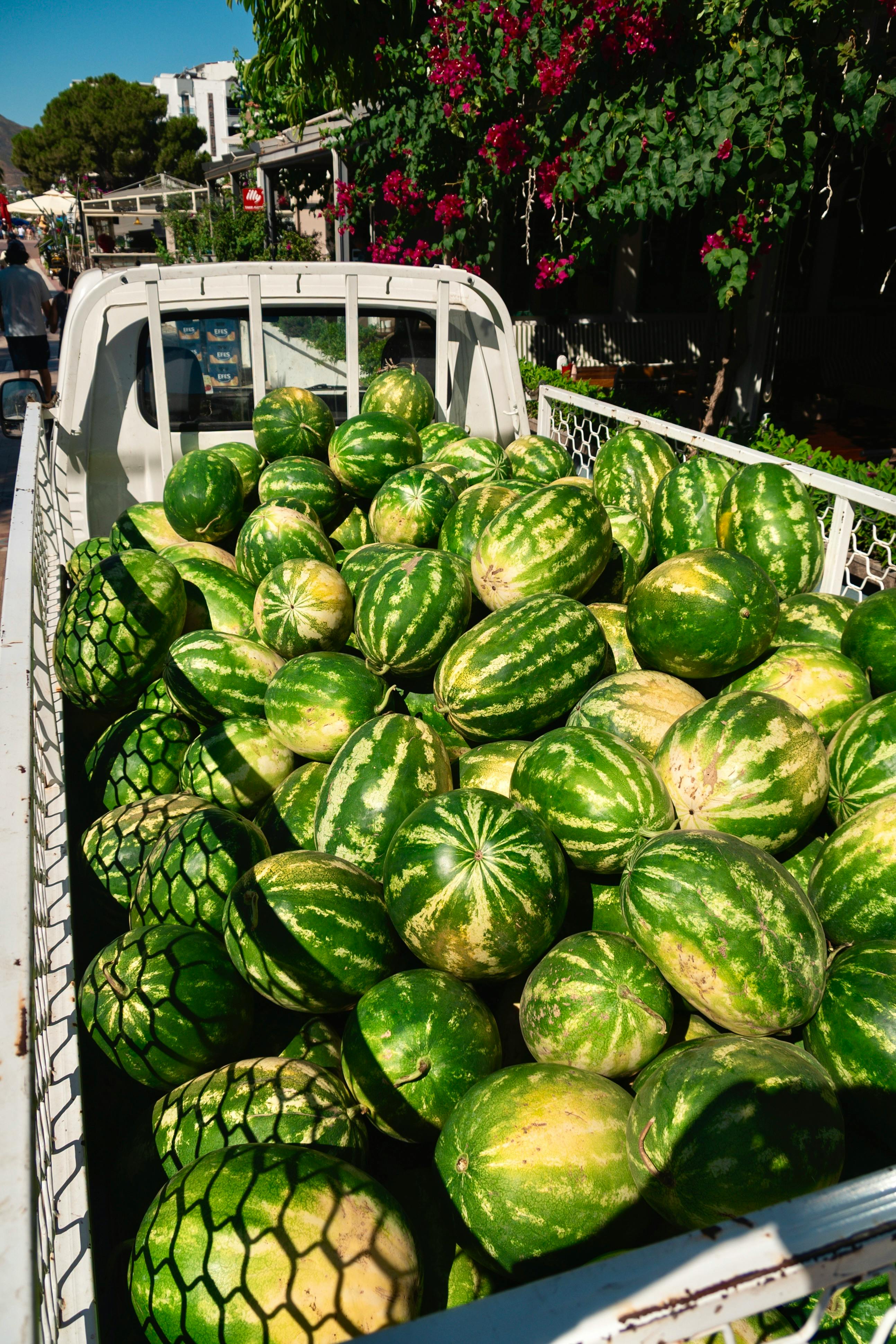 Behold! The Micro-Food Truck (and Why It's a Stroke of Genius)