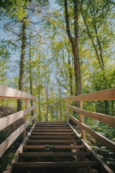 A serene view of wooden stairs ascending through a sunlit forest, capturing nature's tranquility.