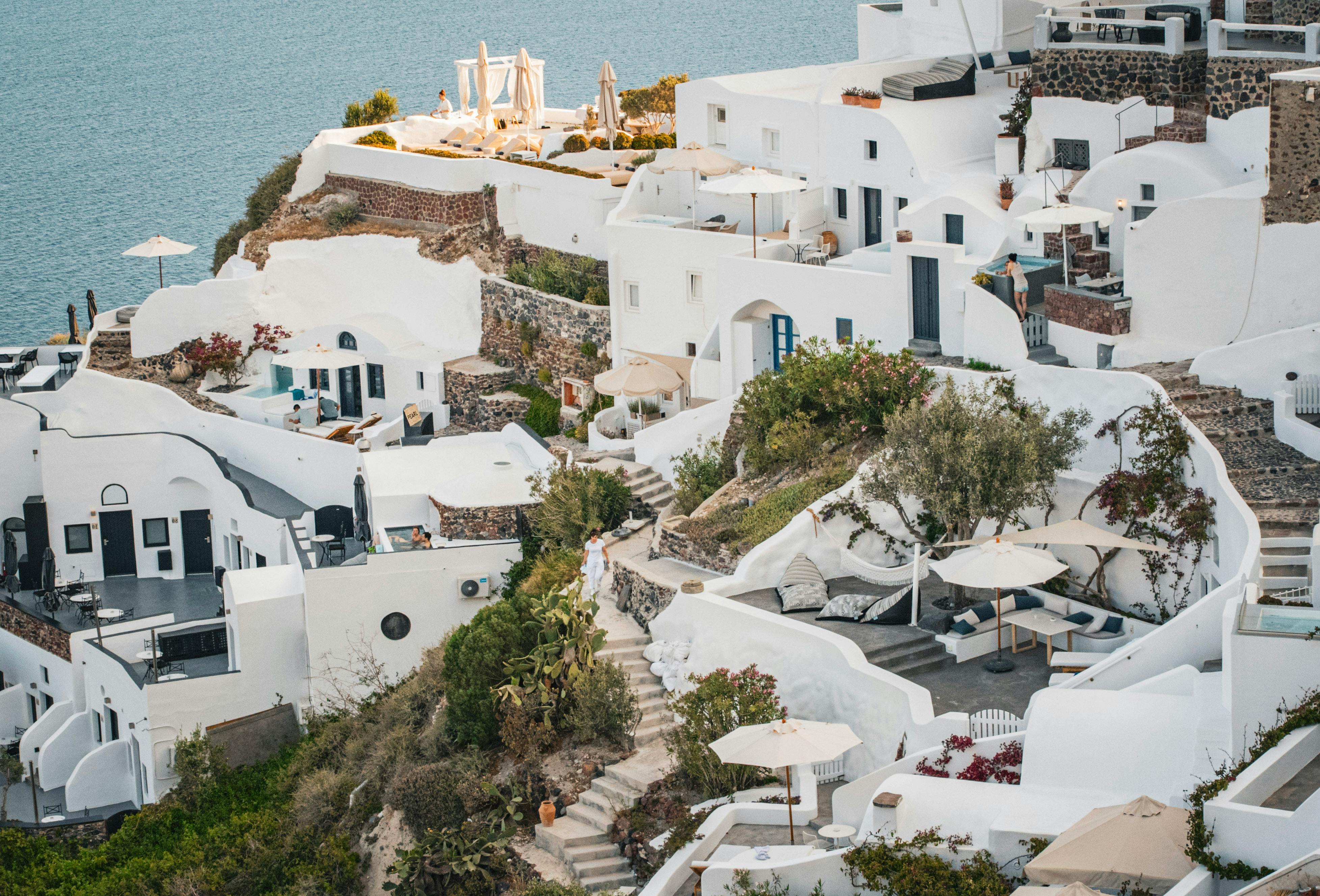White House Study Says DEI Hurts Productivity — Photo by Mihaela Claudia  Puscas on Pexels