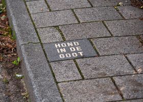 Foto: Haberdoedas Photography · Pexels