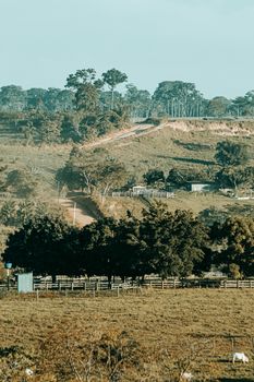 A serene rural landscape with open fields and lush trees under a clear sky.