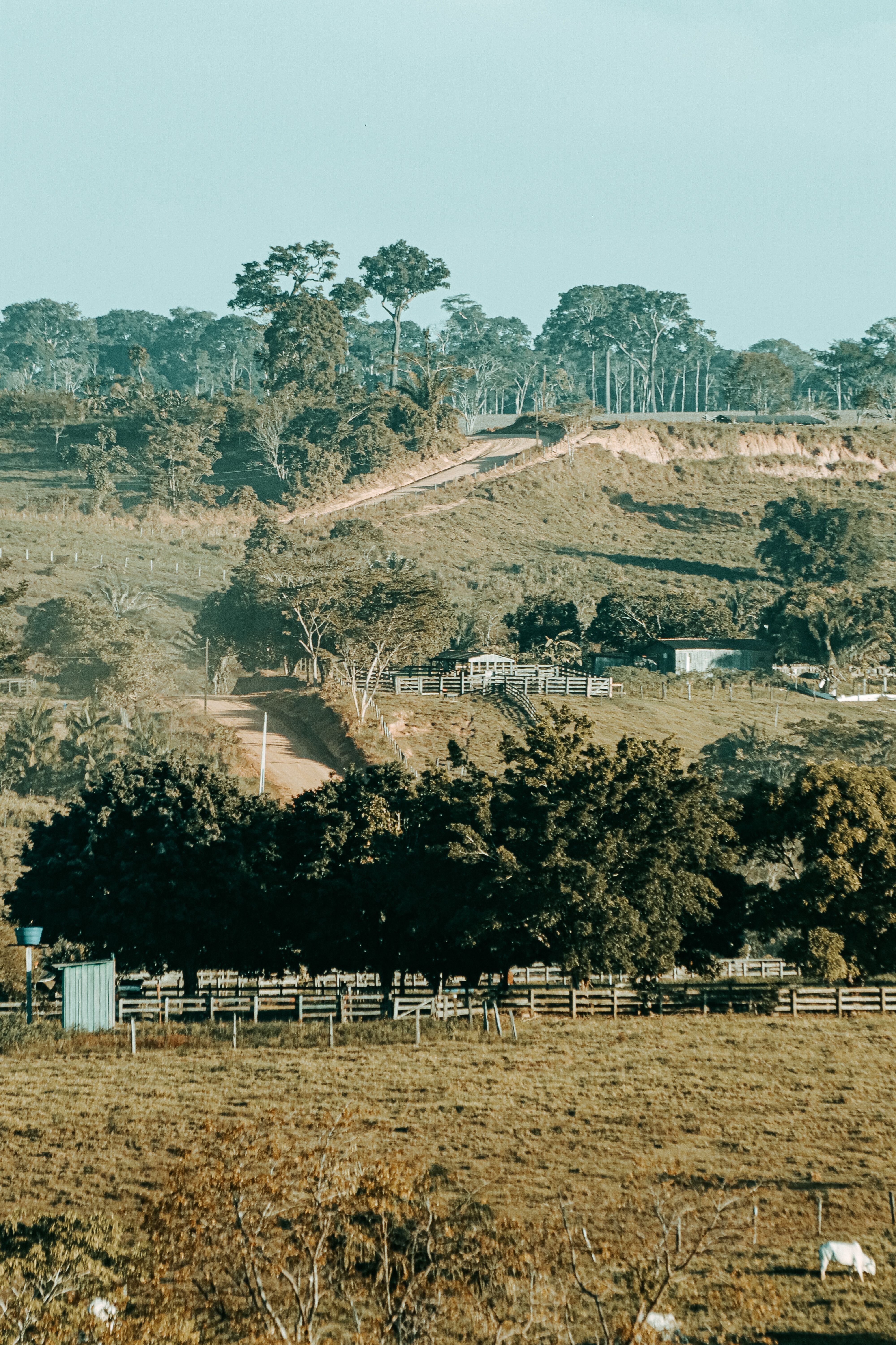 aerial-view-of-rural-landscape-in-alagoas-brazil-free-stock-photo