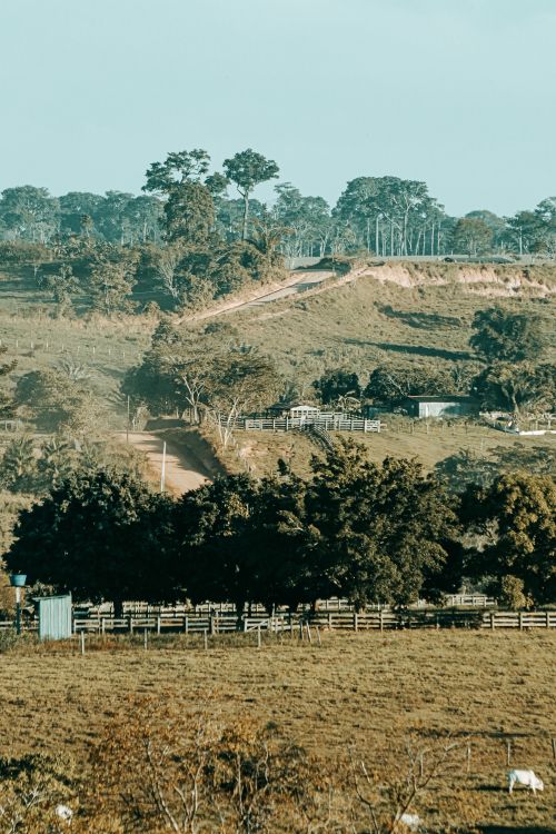 Aerial View Of Rural Landscape In Alagoas Brazil Free Stock Photo aerial-view-of-rural-landscape-in-alagoas-brazil-free-stock-photo