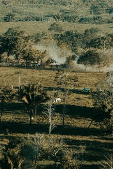 Aerial shot of a serene rural landscape with trees, a car, and dust trail in the countryside.