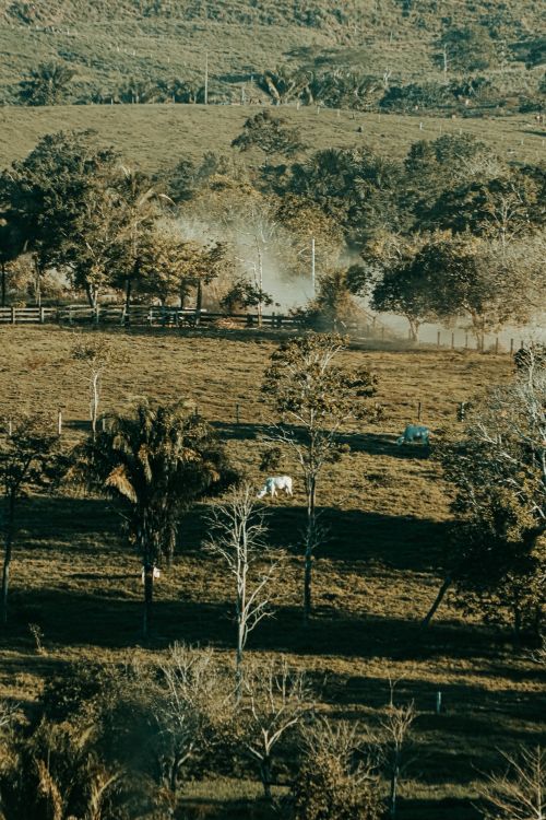 Free Aerial shot of a serene rural landscape with trees, a car, and dust trail in the countryside. Stock Photo
