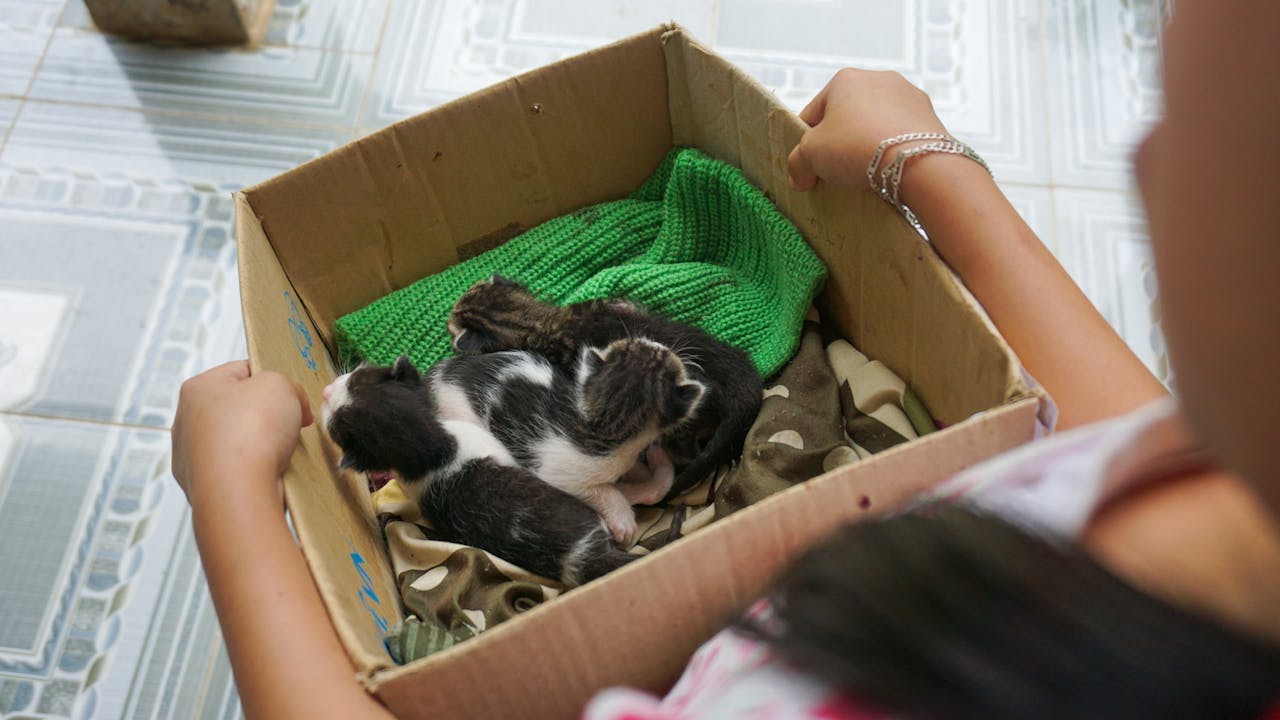 Thám tử lừng danh Conan | Chương 0592