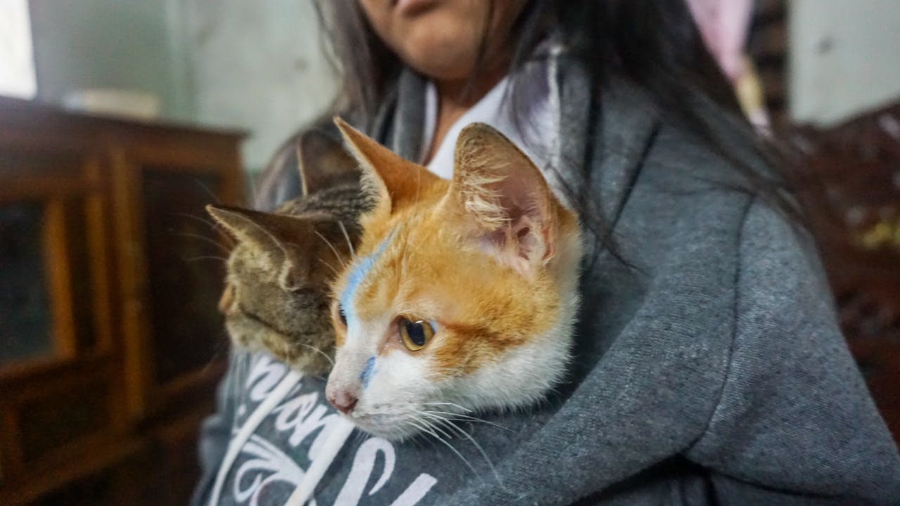 Niên lịch miền gió cát | Chương 05