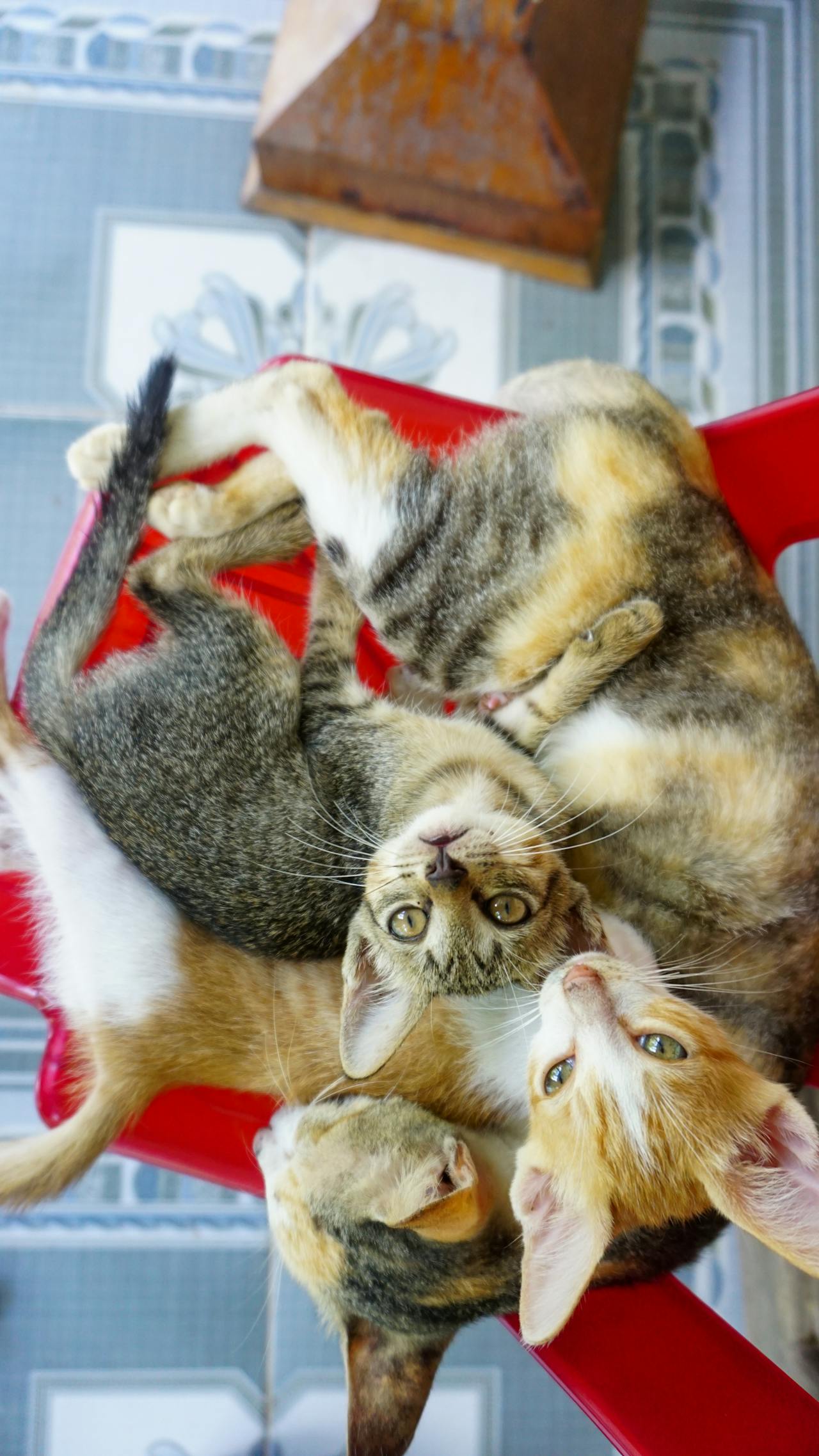 Cẩm nang du lịch Quan Nại