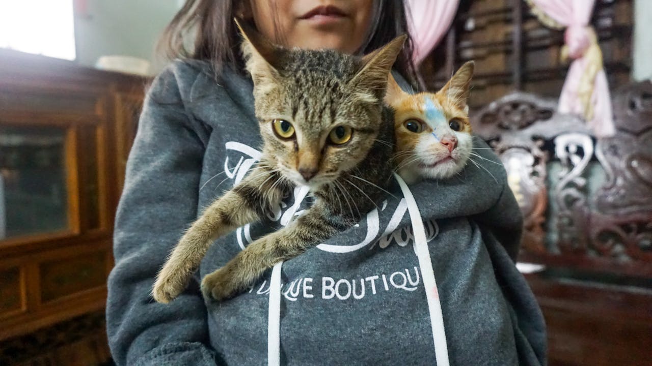 Thay đổi suy nghĩ là đặc điểm của tiến hóa