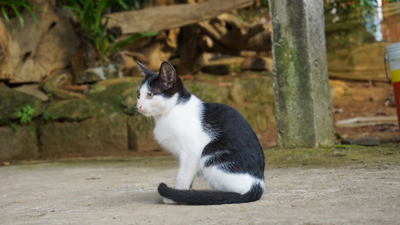 Thỏa thuận với ý chí tự do là gì?