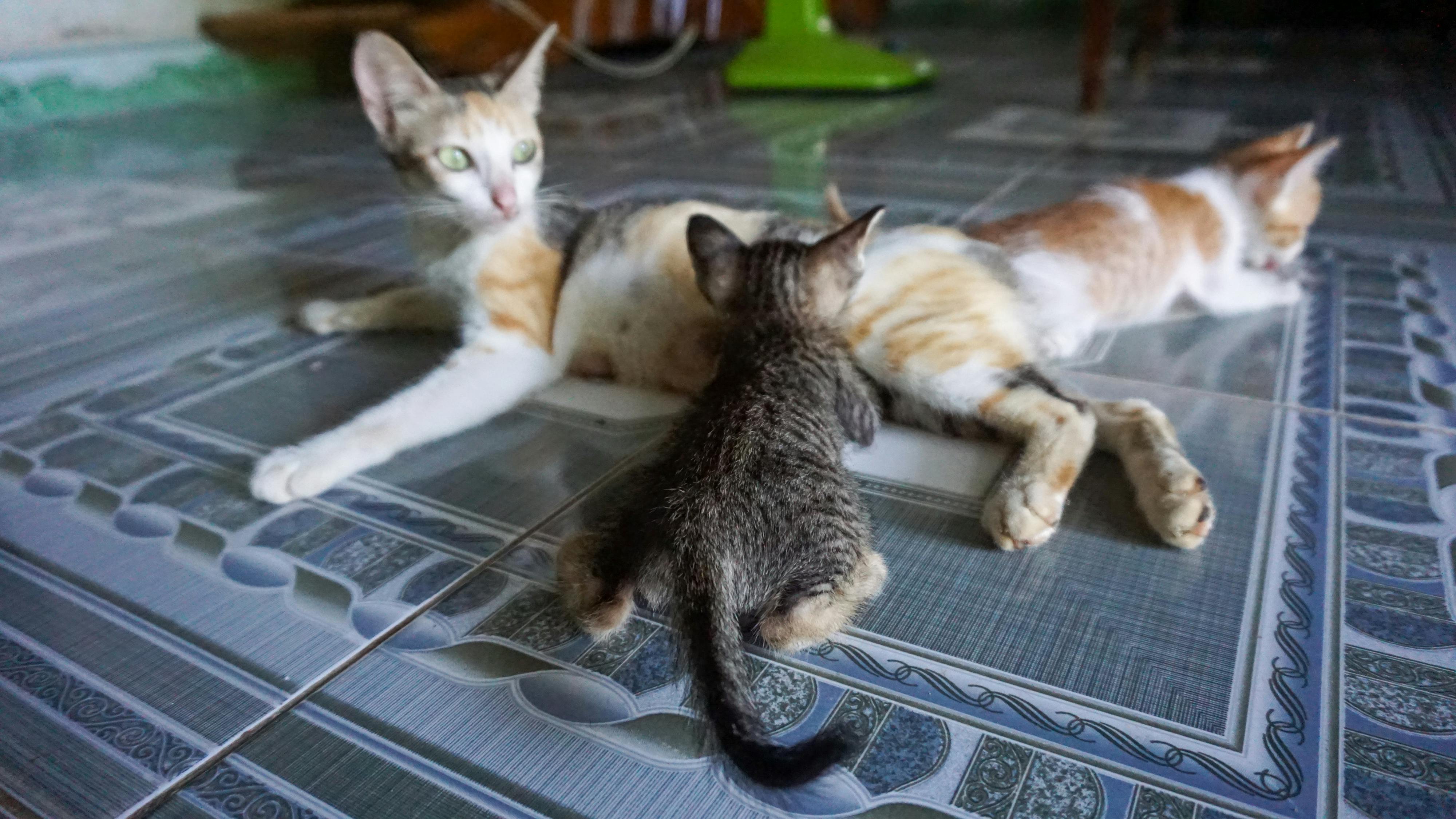 Gieo trồng hạnh phúc | Chương 15
