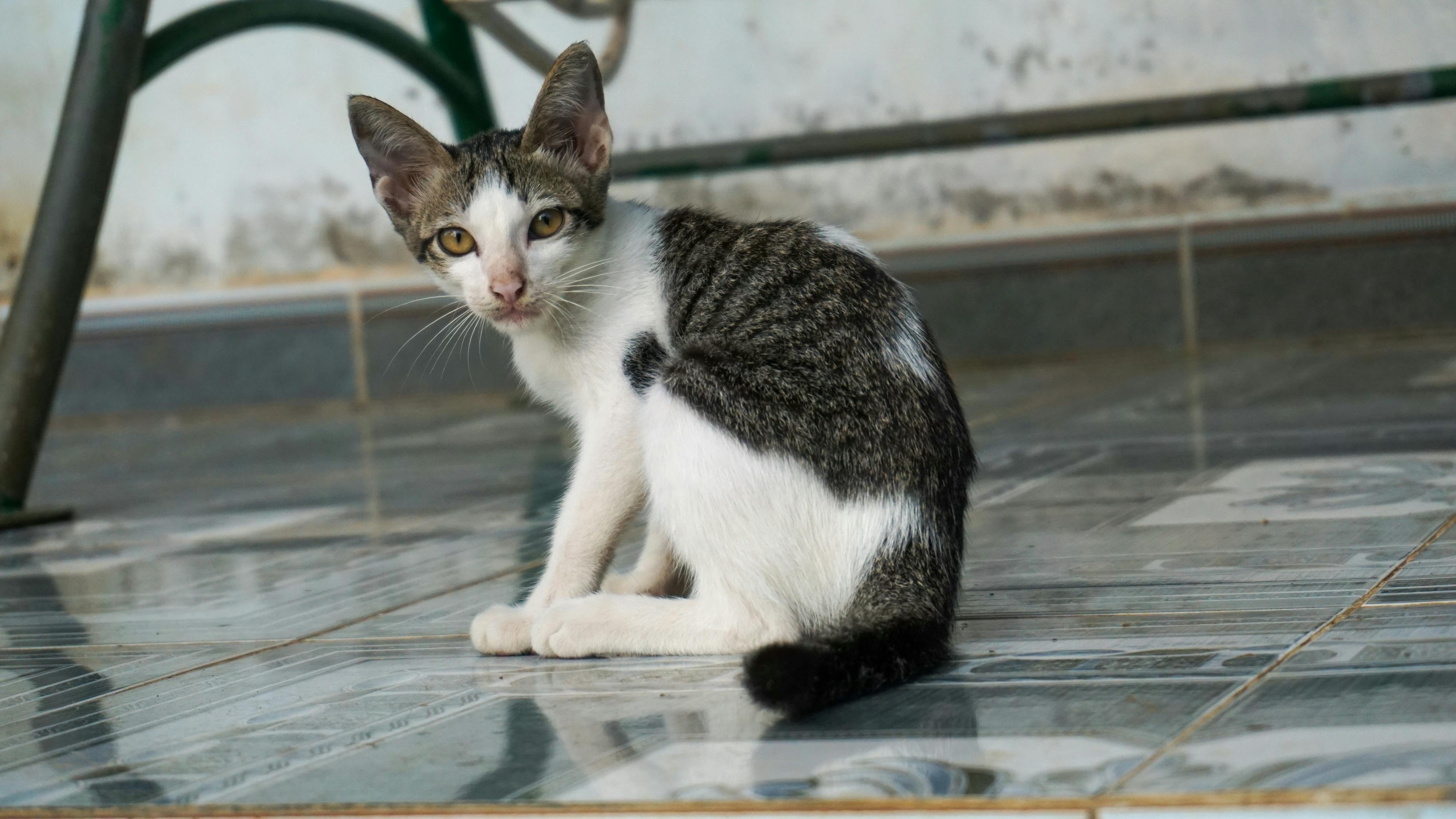 Bí quyết làm nổi bật nhân vật chính để tạo câu chuyện đáng nhớ