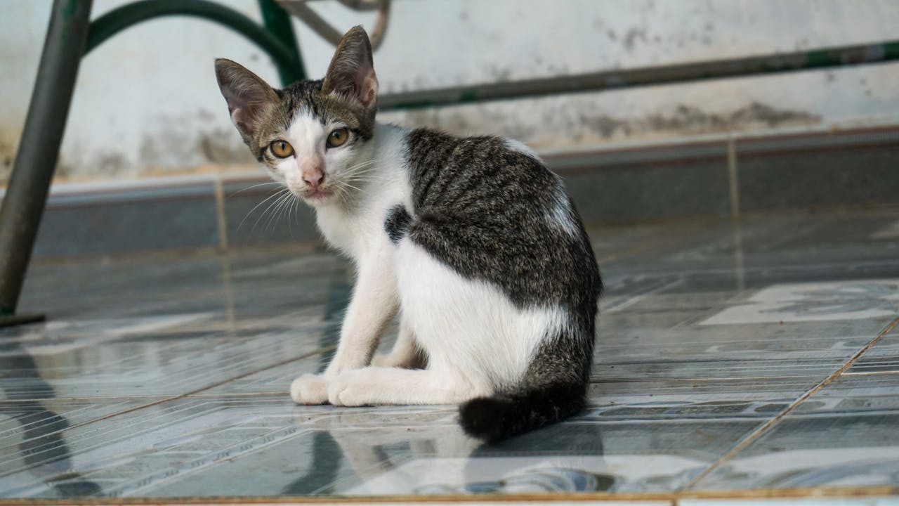 Hiểu về trái tim | Chương 20