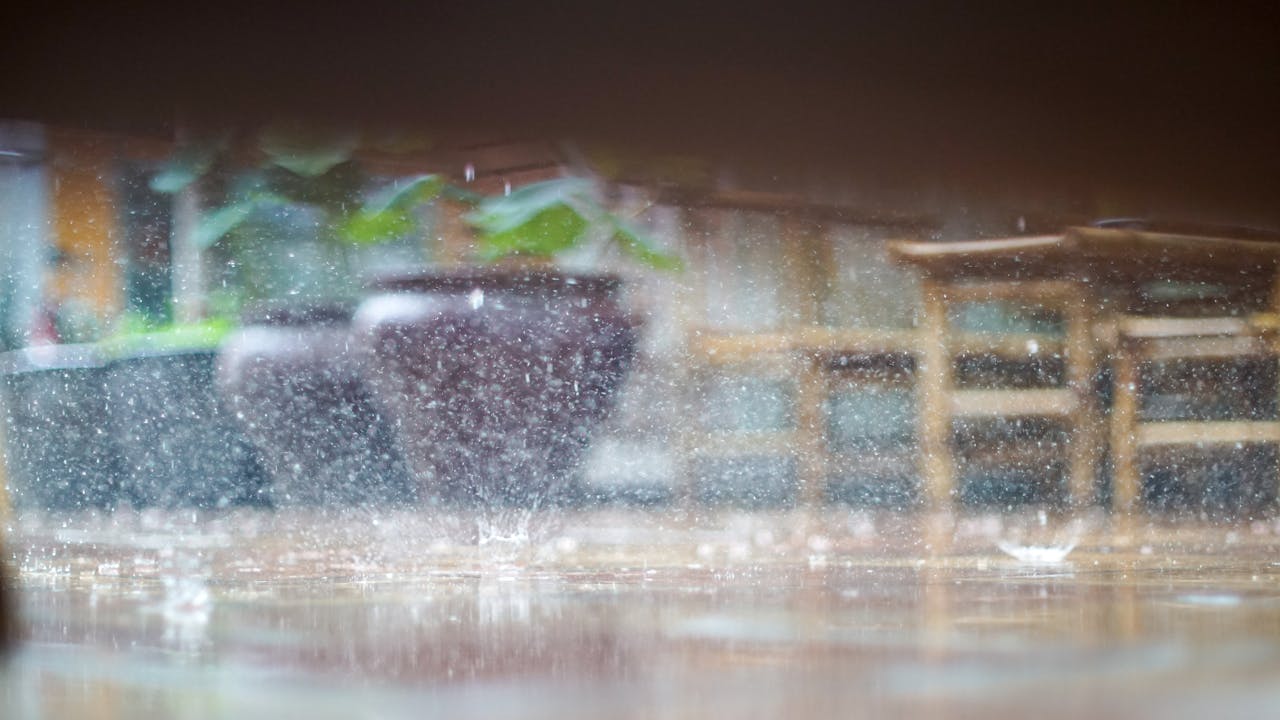 Phim kỳ diệu của Jean Painlevé thời kỳ đầu