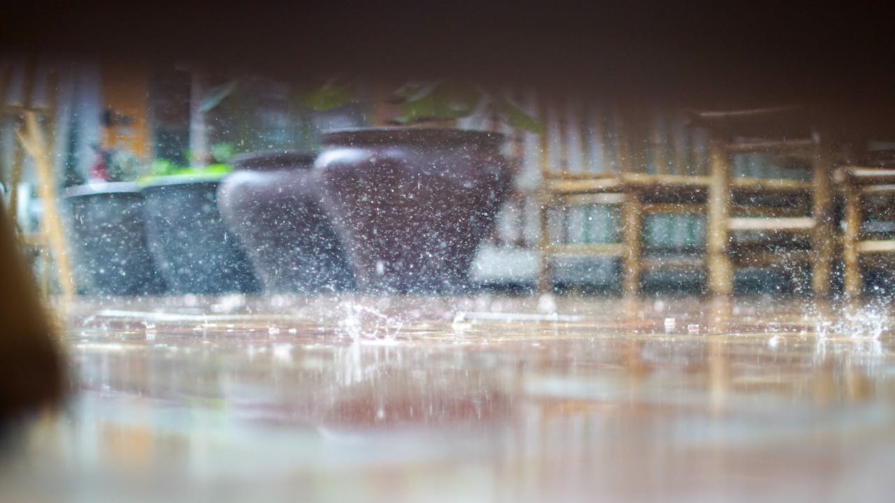 Chim lửa | Chương 91