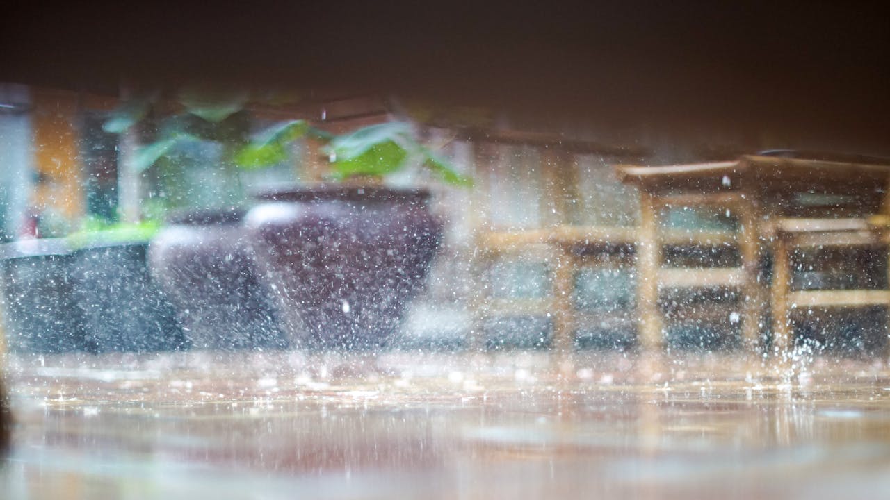 Kỹ thuật chụp Macro trong nhiếp ảnh