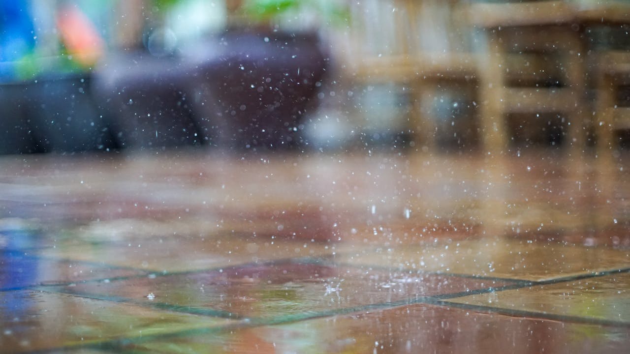 Làm thế nào chim định hướng?