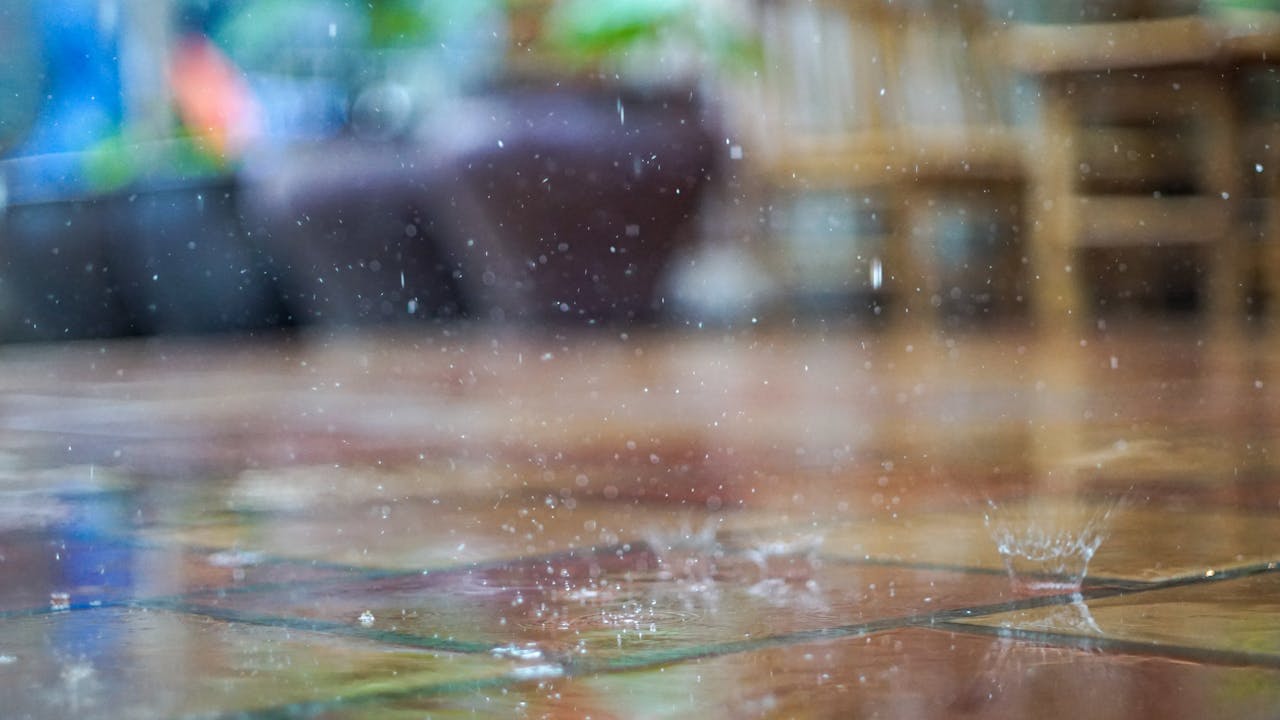 Chim lửa | Chương 63