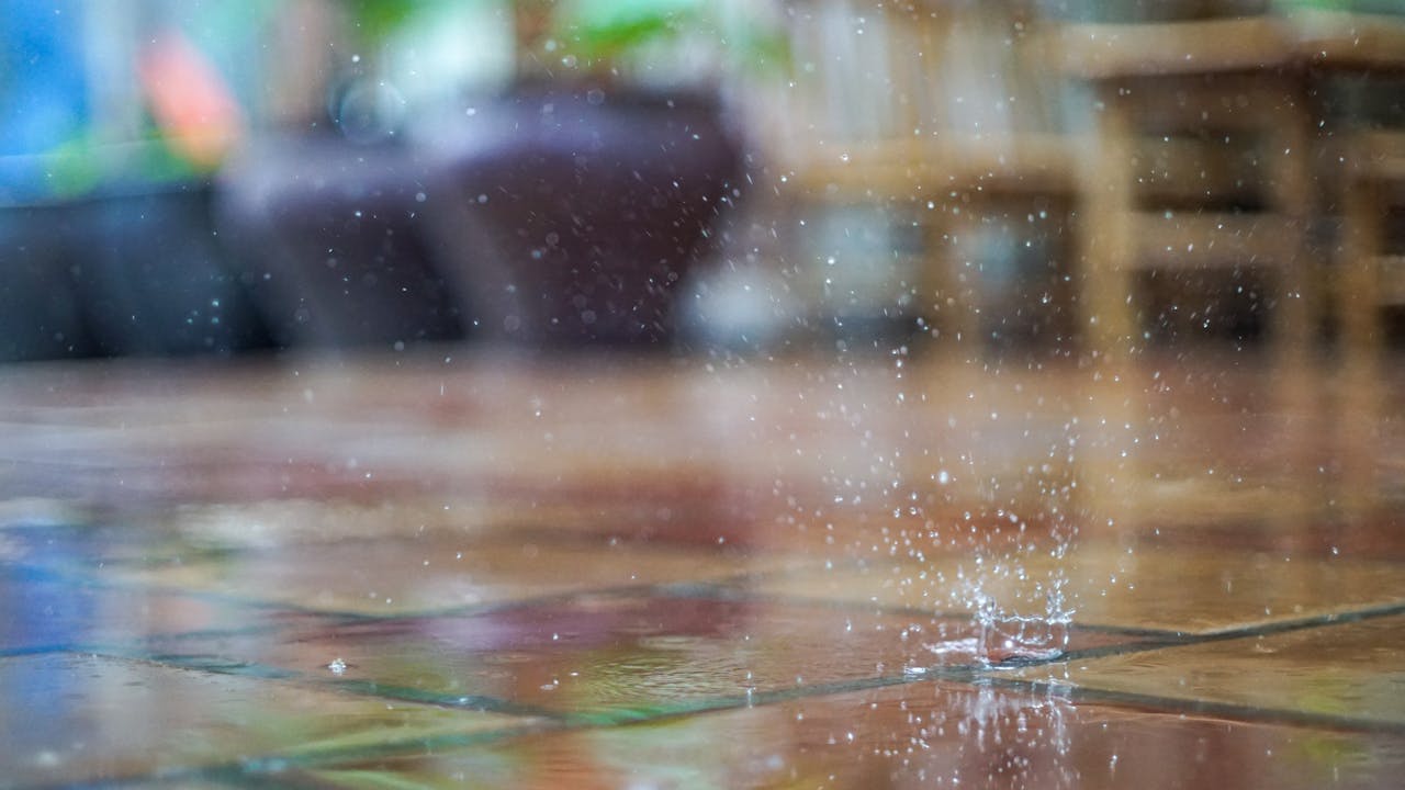 Bức họa núi thu