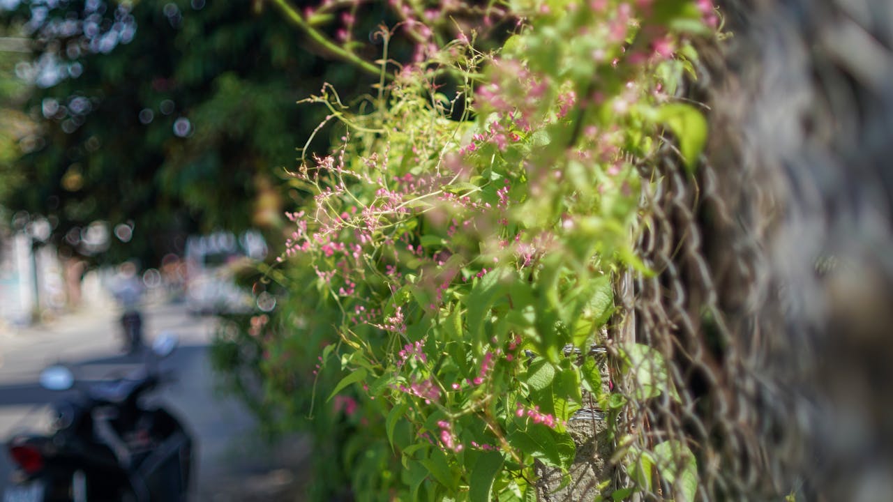 Đạo đức sở thú, nhà tù hay bảo tồn toàn cầu