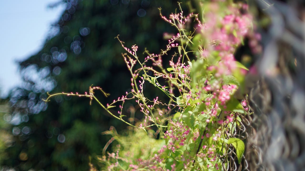 Con đã có đường đi | Chương 01