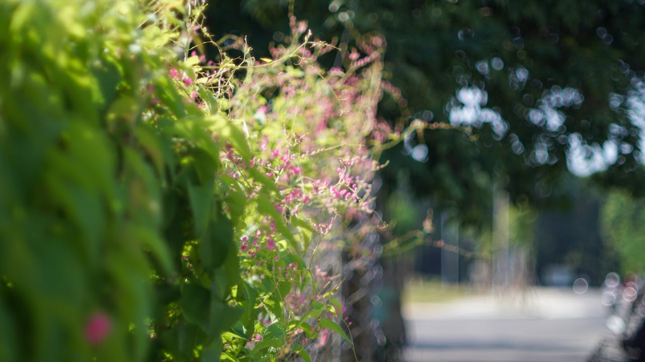 Cách xây dựng bối cảnh sống động để cuốn hút độc giả?