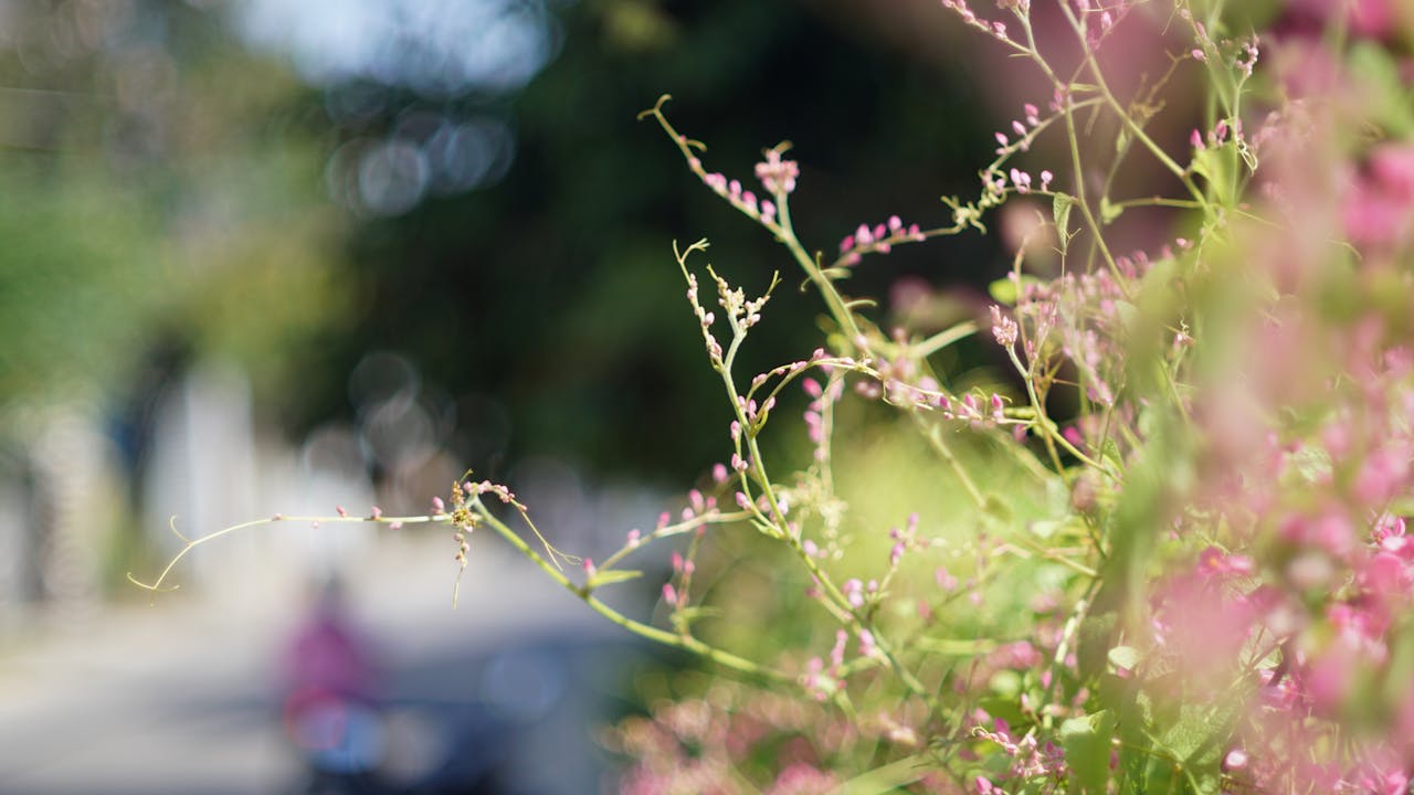 Hiệu ứng Trebek – Lợi ích của lời chúc tốt lành