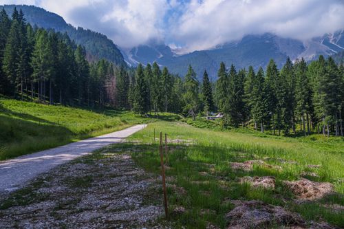 Free Explore a serene mountain landscape with evergreen forests and a gravel path under a blue sky. Stock Photo