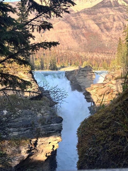 Free A stunning waterfall cascades through a rugged canyon in a forested mountain landscape, captured in early fall. Stock Photo