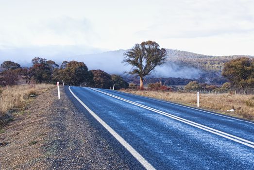 A serene rural road surrounded by mist and countryside trees in Australia.