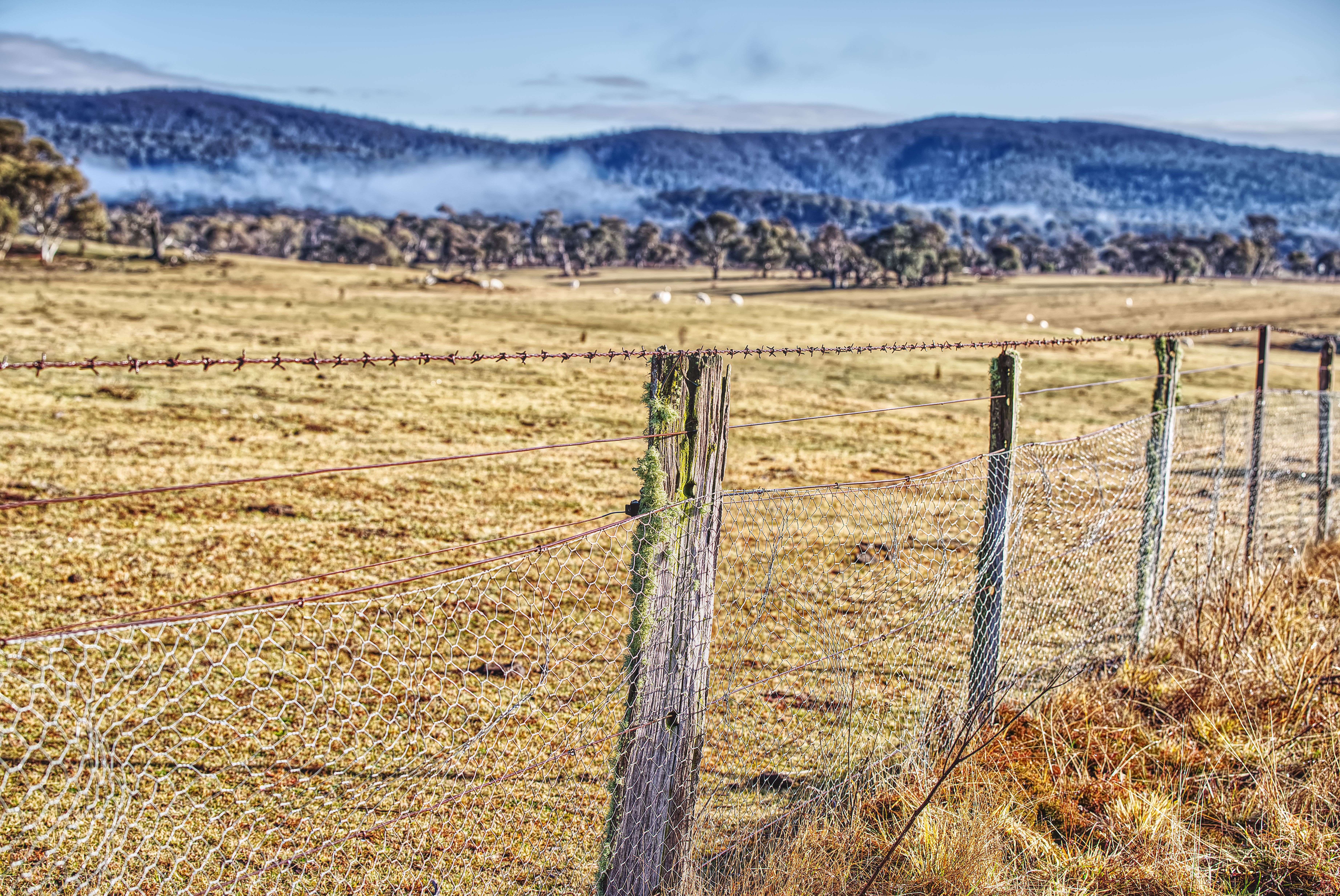 Rural Australian fence line with mountain view