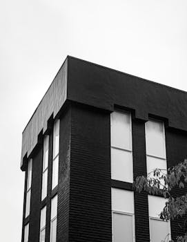 阴天映衬下，现代黑色建筑立面呈现单色图像