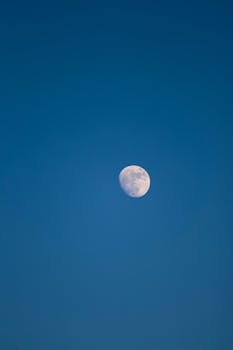 Review: Stellar cast makes Superman shine bright