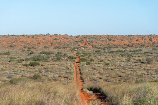 Remote desert road stretching through the iconic Australian outback, ideal for adventure exploration.