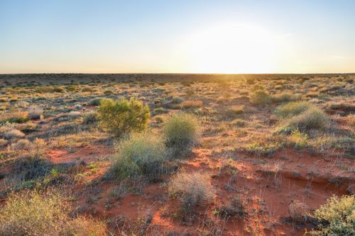 Free A scenic view of a desert landscape with red soil and dry vegetation under a bright sun. Stock Photo