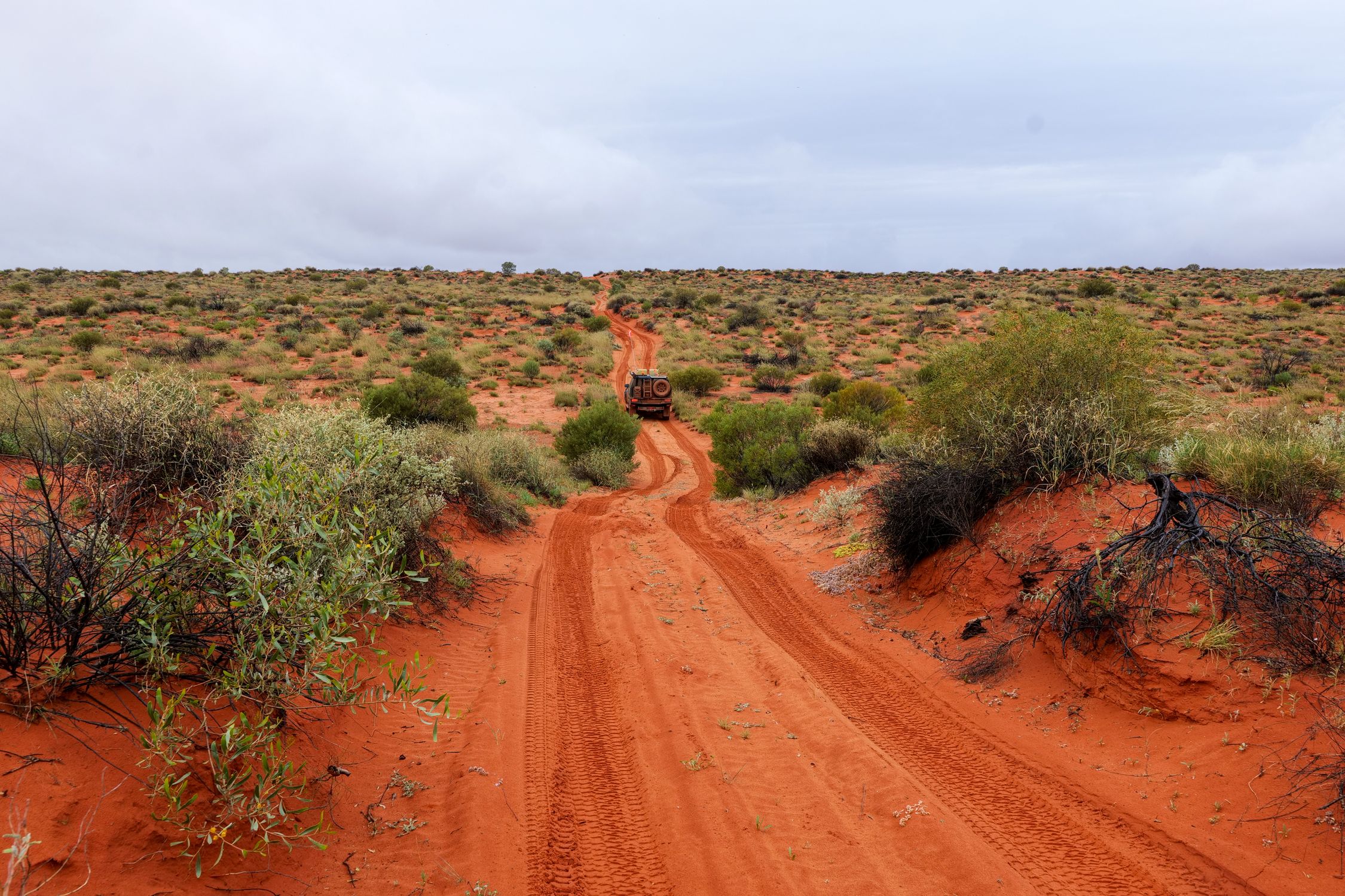Explore the rugged beauty of the Australian desert with an off-road adventure vehicle on a red dirt track