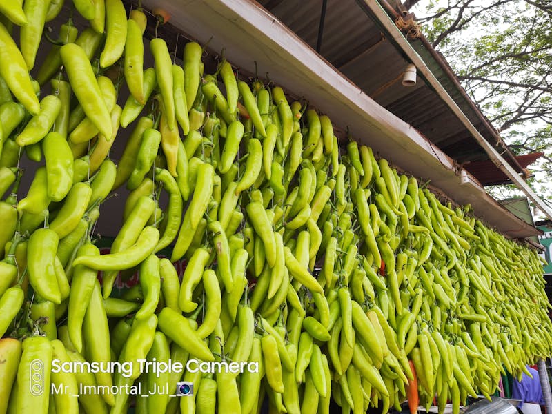 kenangan foto pernikahan bahagia