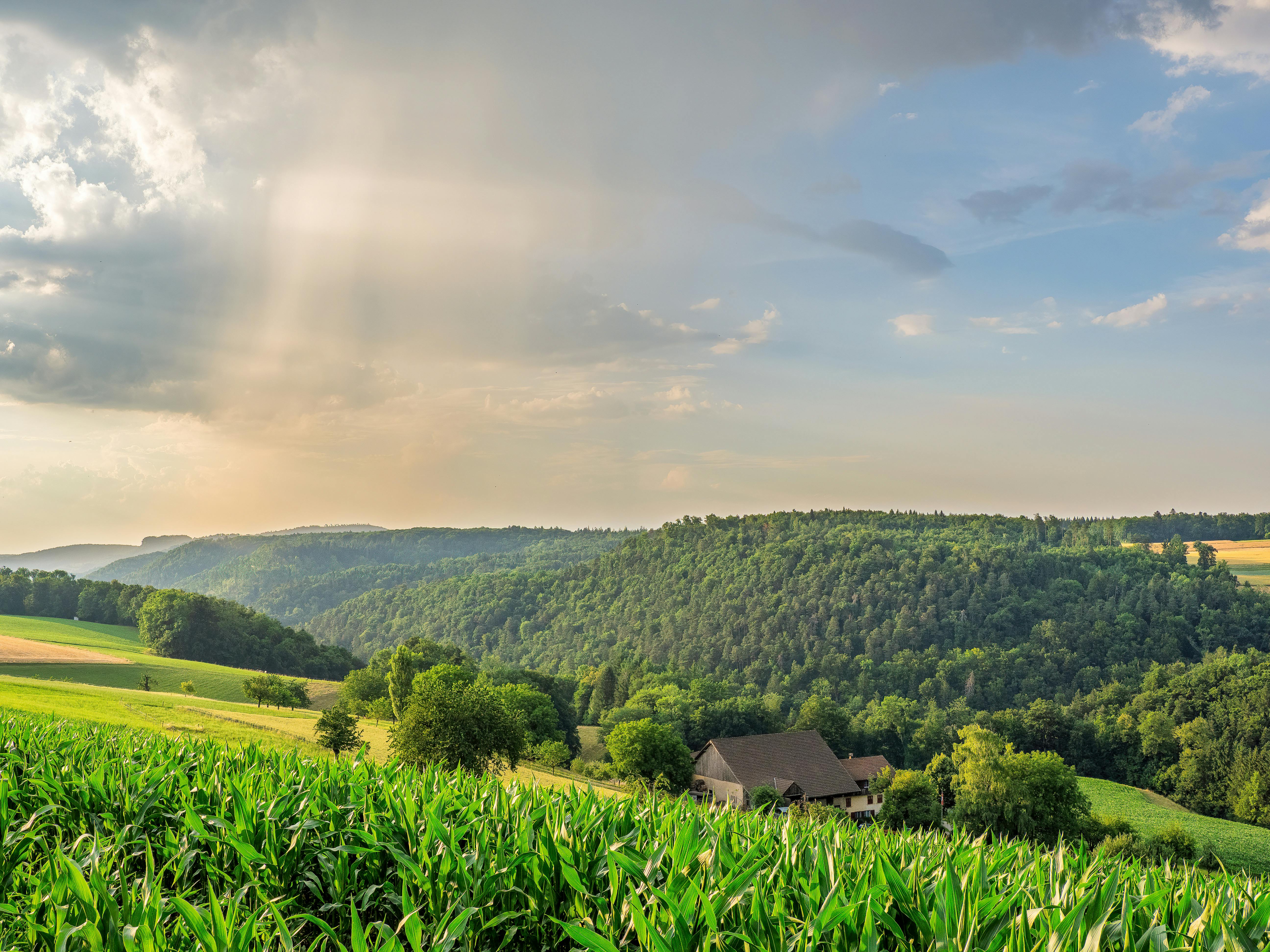 Ohio rural healthcare access — an advanced solution? — Photo by Thomas P on Pexels