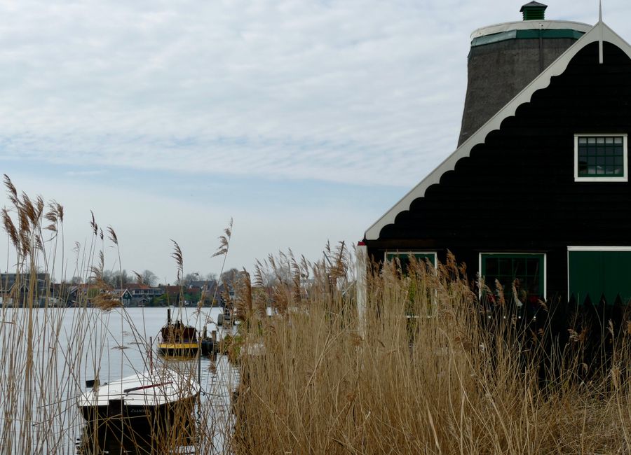 Charming Amsterdam canal view with traditional house by the water and tall grass in foreground.