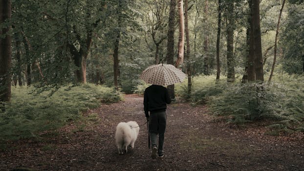 A man with an umbrella walks his dog along a rainy forest trail.