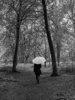 A woman with a white umbrella walking alone on a forest path in rainy weather.
