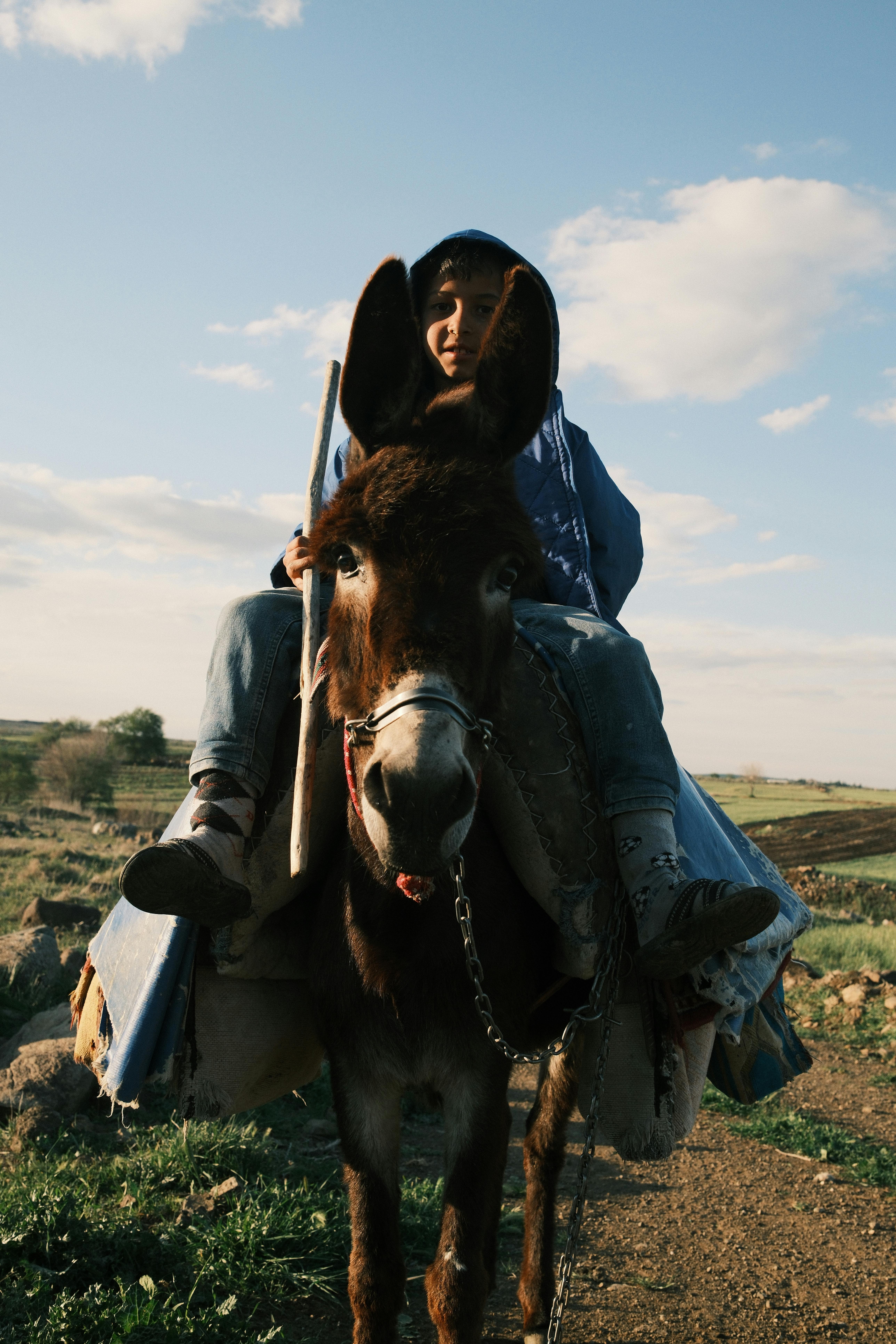 бесплатная Мужчина едет на осле по сельским пейзажам Газиантепа, Турция, под солнечным небом. Стоковое фото