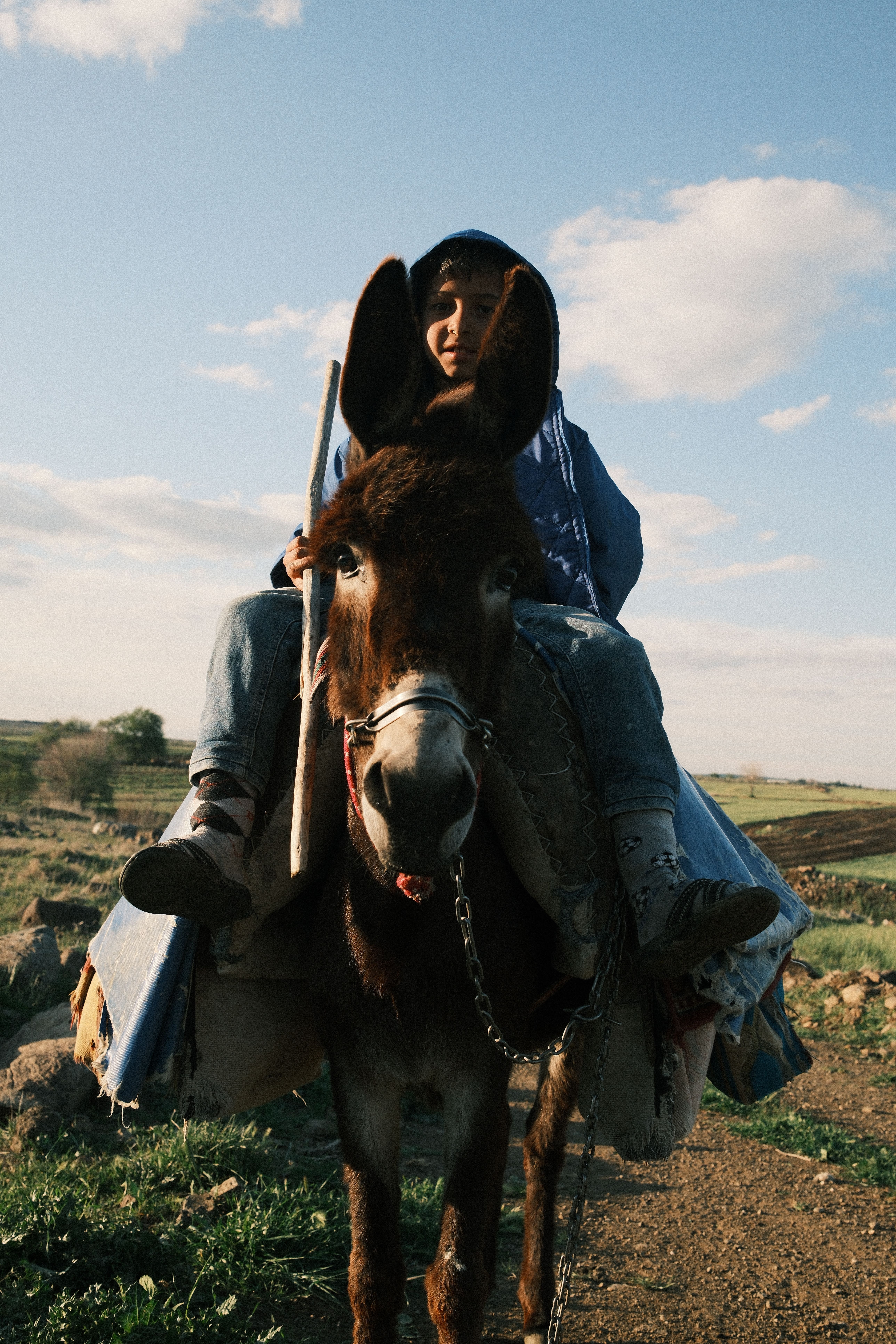 Traditional Scene of Donkey Riding in Gaziantep · Free Stock Photo