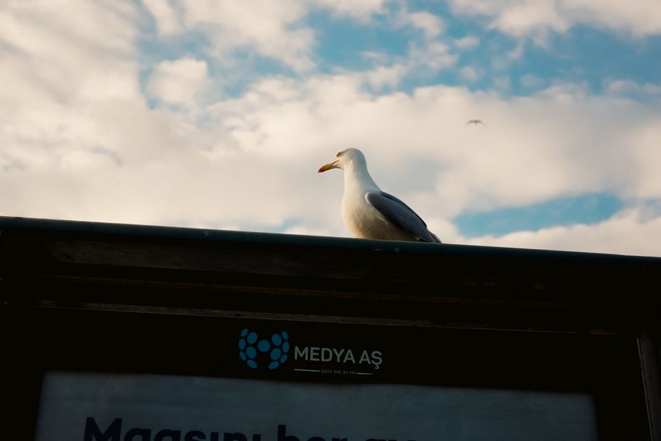 sosyal medya, kullanıcıların içerik oluşturmasına, paylaşmasına ve etkileşimde bulunmasına olanak tanıyan çevrimiçi platformlardır. facebook, twitter, instagram, tiktok gibi platformlar, insanların fikirlerini, deneyimlerini ve duygularını kolayca paylaşmasına imkan tanır. 2000