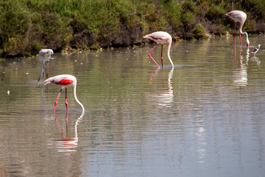 Photo by CARLOS PÉREZ ADSUAR ANTÓN