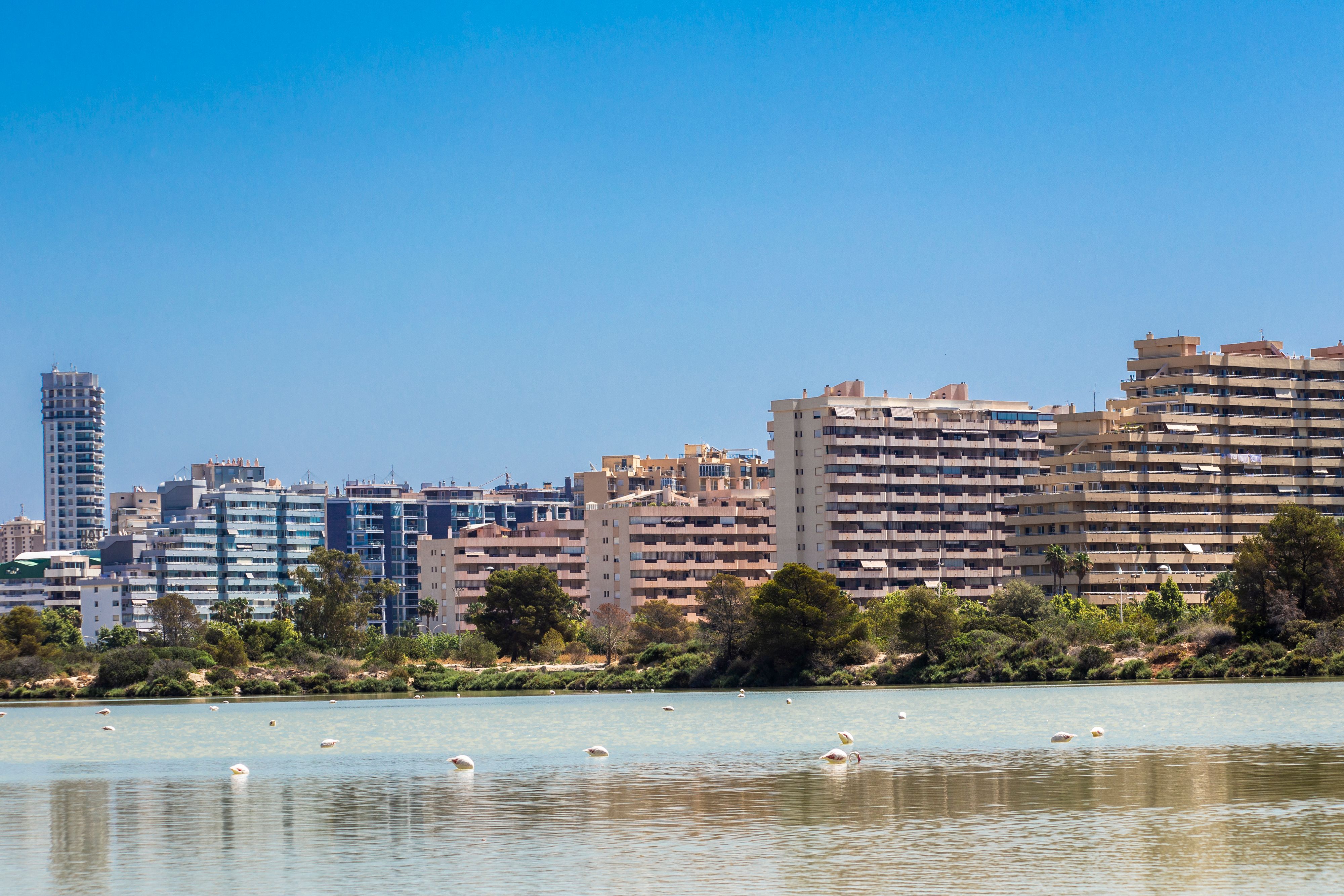 Salinas de Marchamalo Flamingo Flats