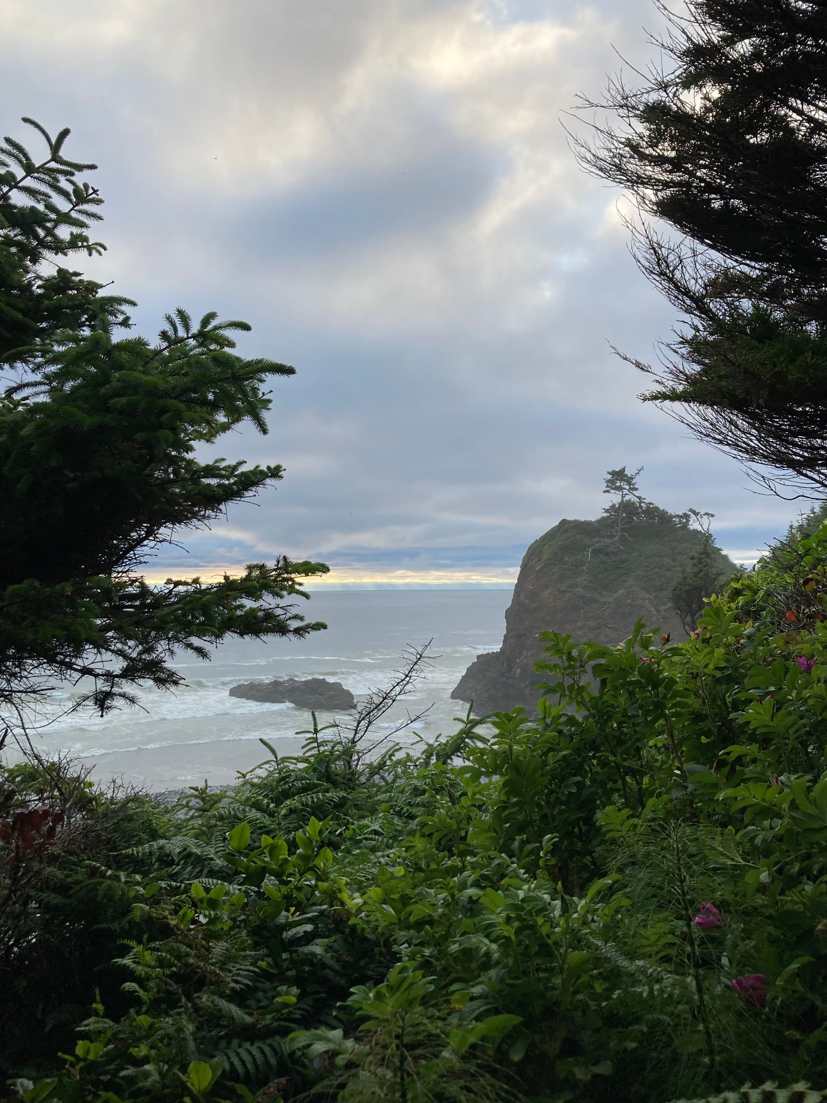 Scenic Coastal View with Lush Greenery · Free Stock Photo