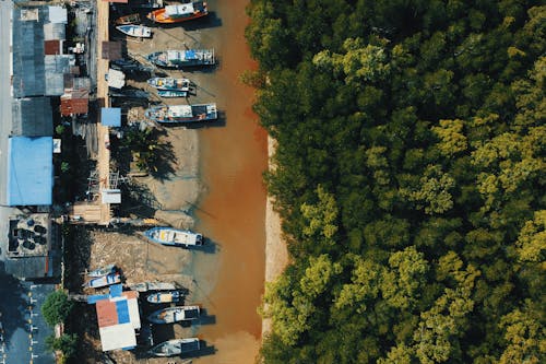 Boats on Port Near Houses