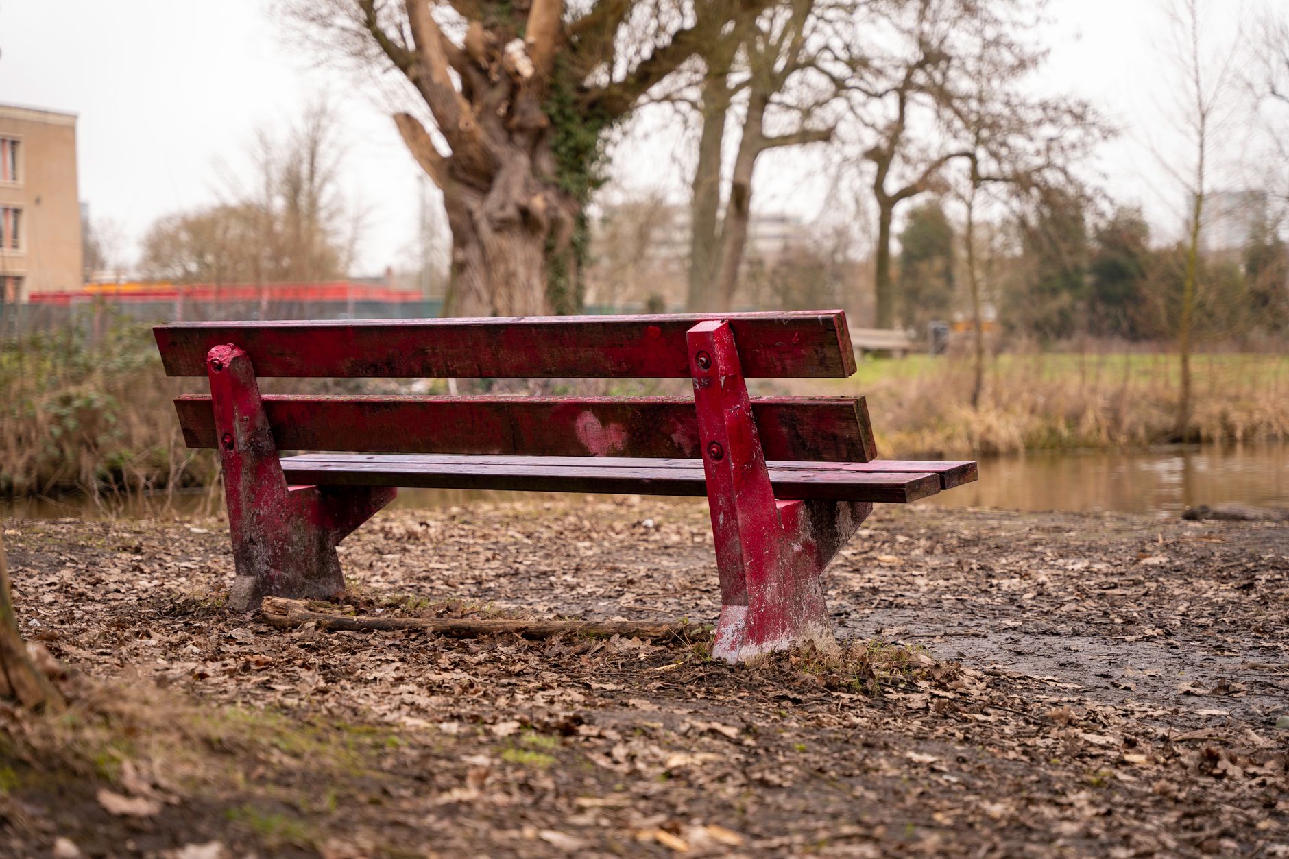 Lelystad'daki Bultpark'ta boş bir yürüyüş yolu